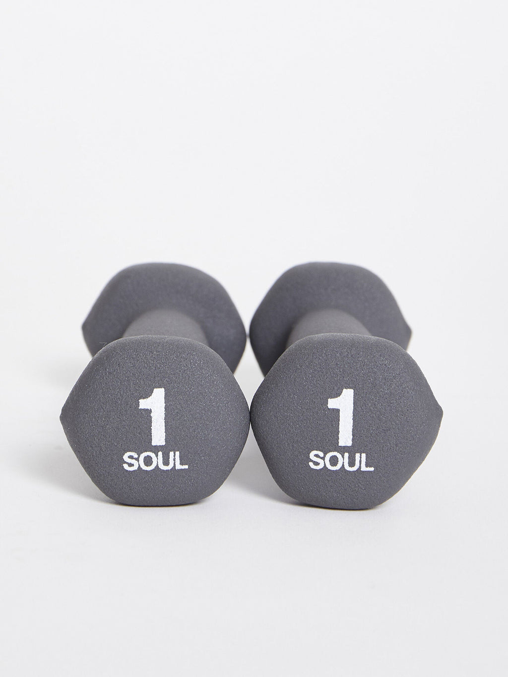 SOULCYCLE 1LB WEIGHTS